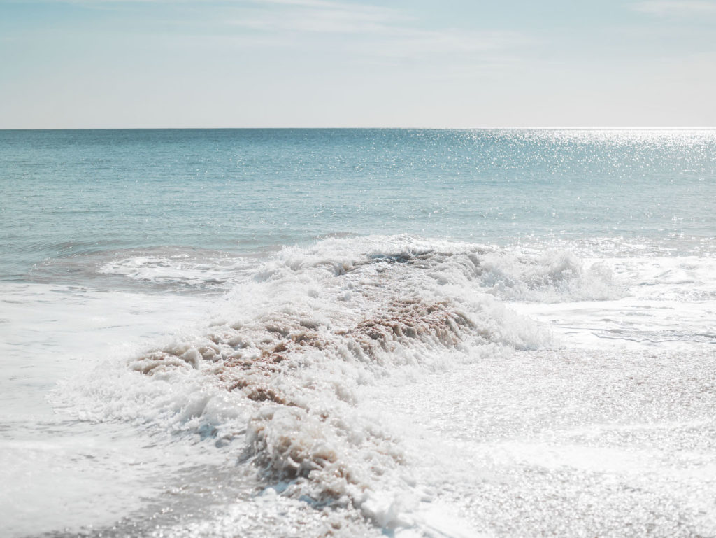 Benjamin Deroche_Nature(12)_clementinedefortongallery