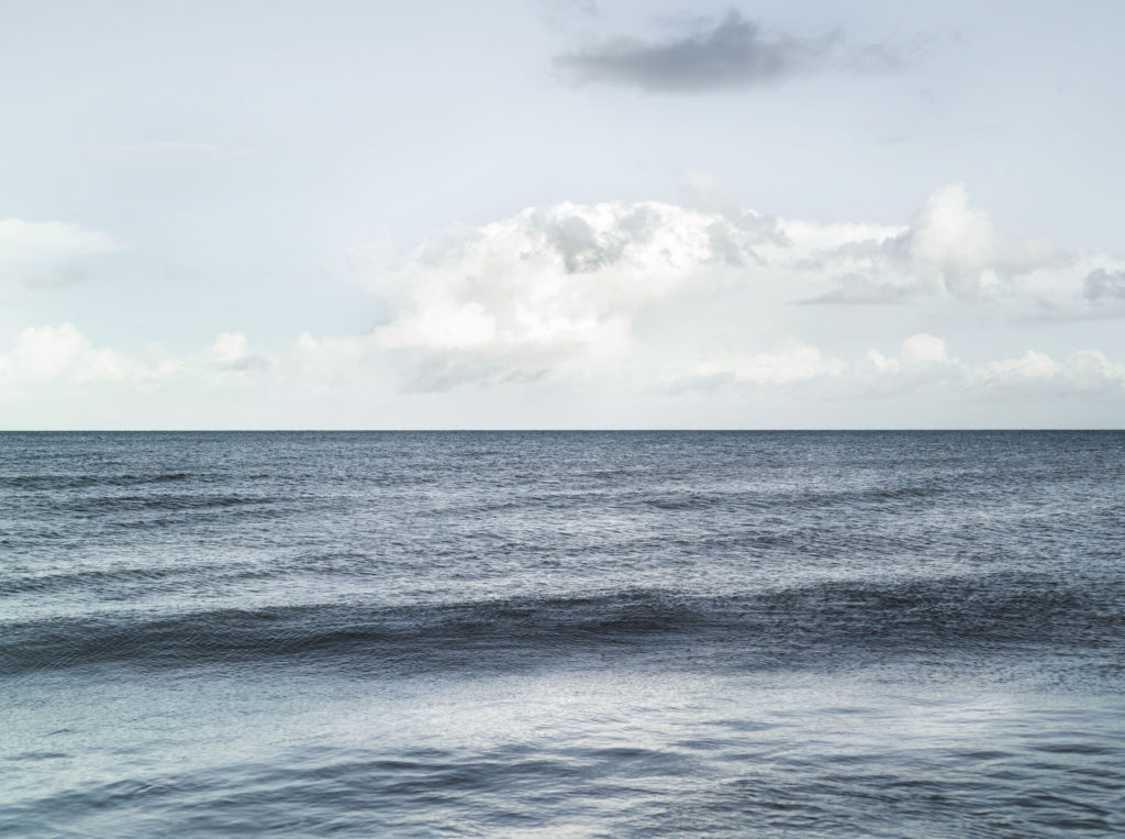 Benjamin Deroche_Nature(15)_clementinedefortongallery