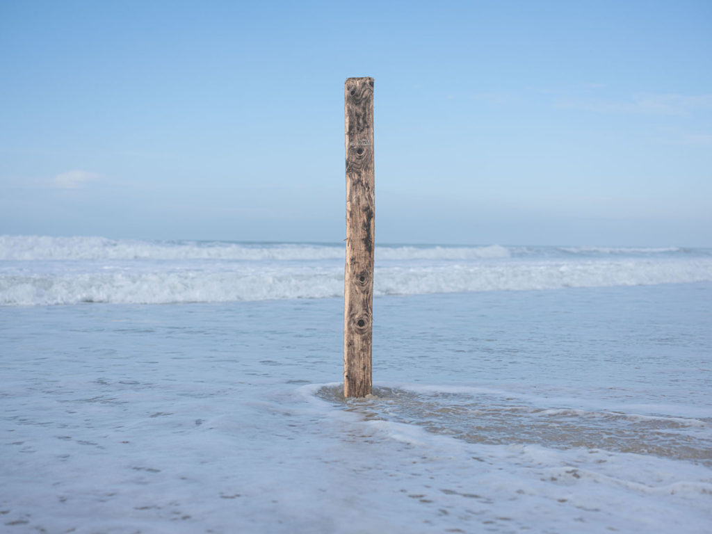 Benjamin Deroche_Nature(16)_clementinedefortongallery