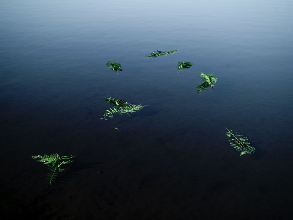 Benjamin Deroche_Nature(4)_clementinedefortongallery