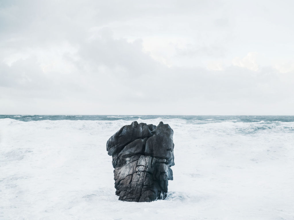 Benjamin Deroche_Nature(9)_clementinedefortongallery