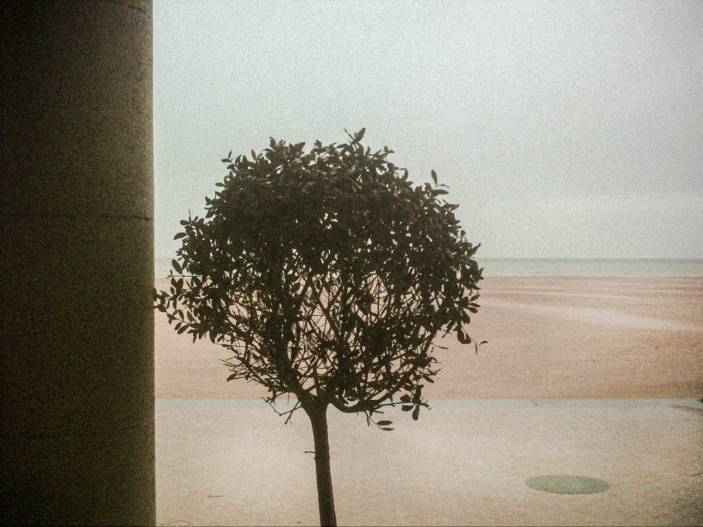 Ostende 22 Benjamin Deroche clementine de forton gallery